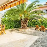 Palm