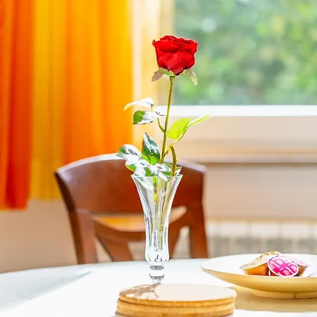 Apartmán Palm Portorož